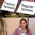 Factory and regular farmers