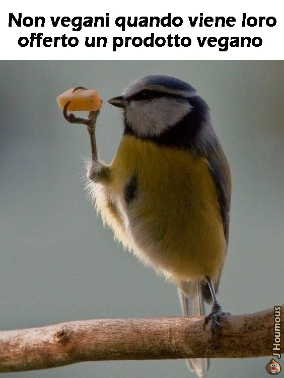 Sospetto - meme