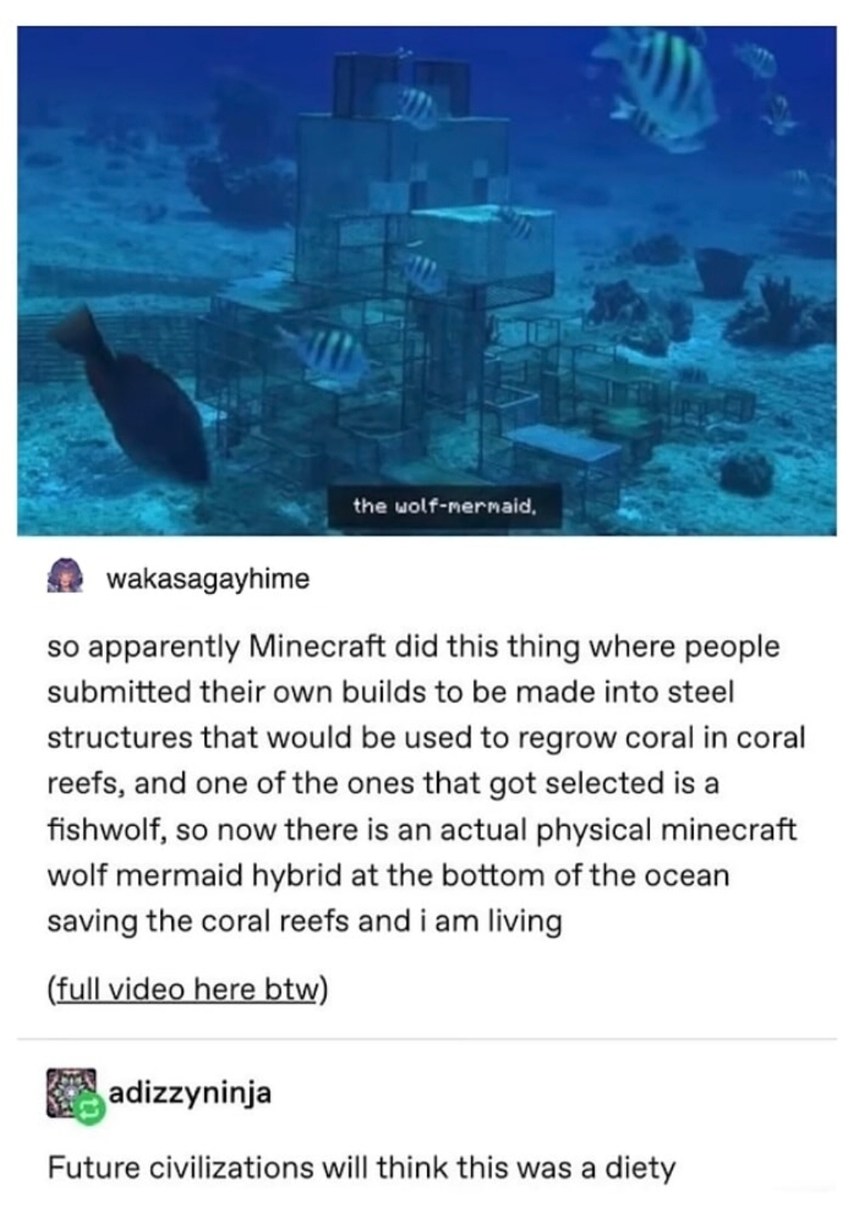 Minecraft wolf-fish-mermaid now saving actual coral reefs - meme