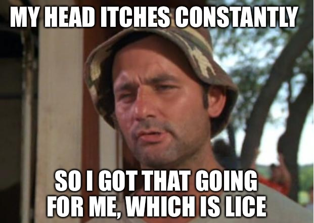 I'm feeling lice today - meme