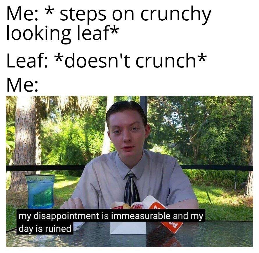 crunchy leaves should crunchhhh!!!! - meme