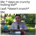crunchy leaves should crunchhhh!!!!