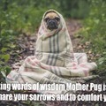 Tell mother pug your problems she will listen and help.