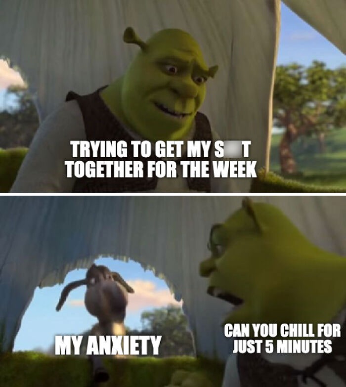 SHREK Y U DO DIS  Shrek memes, Cartoon memes, Cute memes