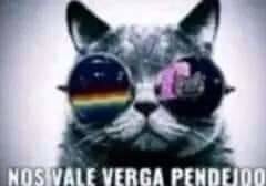 Los de moderación cuando publico el mejor momo jamás visto - meme