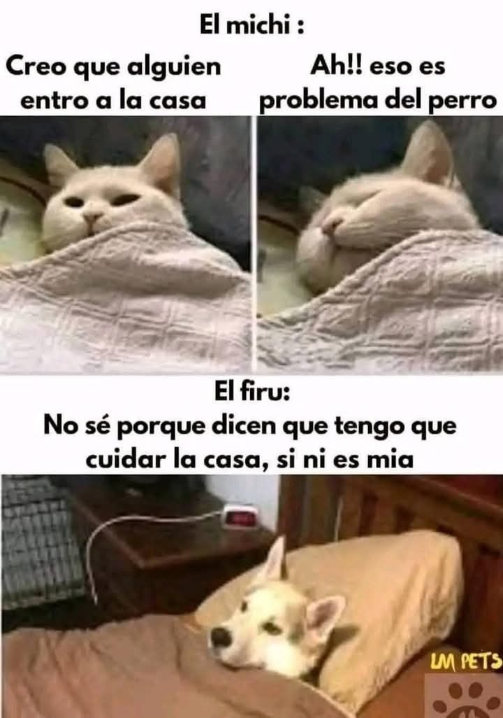 El título se fue a trabajar - meme