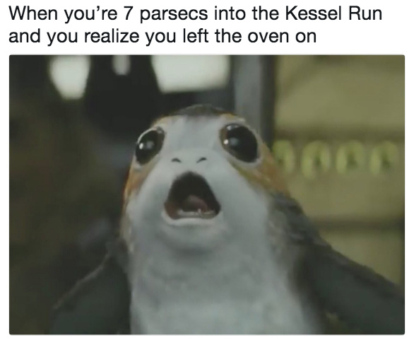 It's called a Porg, for anyone wanting to know. - meme