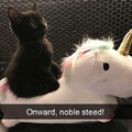 here’s a kitten riding a unicorn