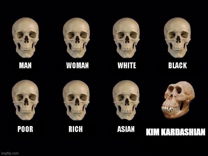 kim skull of truth - meme