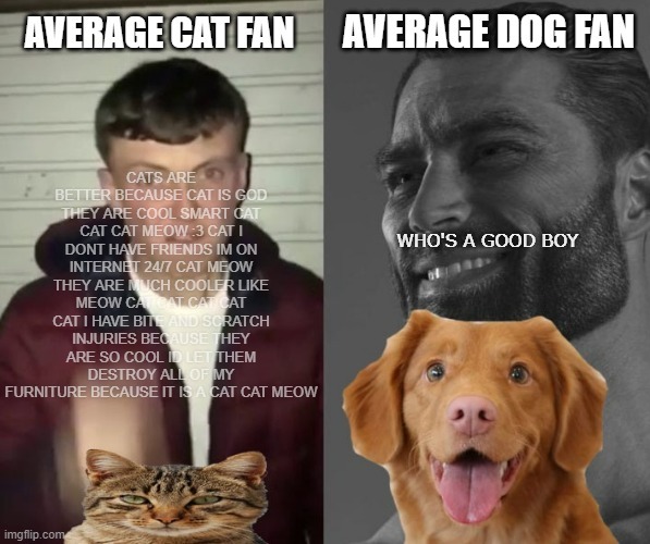 Gigachad dog fan - meme