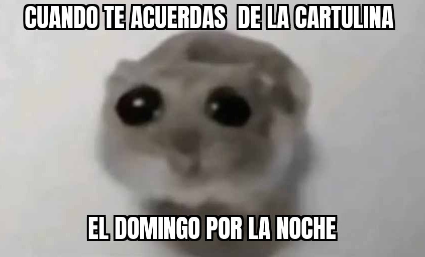 D: - meme