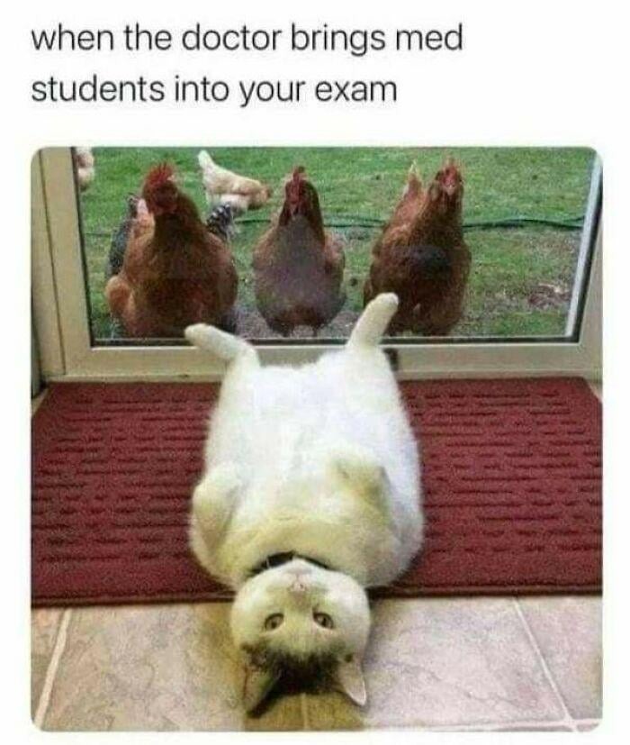 Med students into your exam - meme