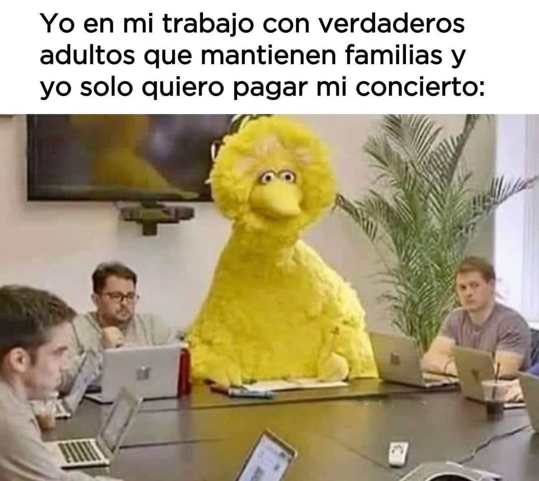 Yo en la oficina rodeado de adultos responsables y yo solo quiero pagar el concierto - meme
