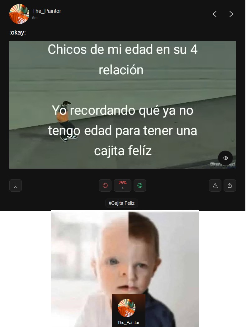 meme flash xd