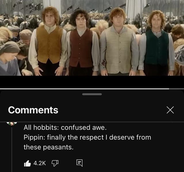 All hobbits confused, Pippin soaking in the respect - meme