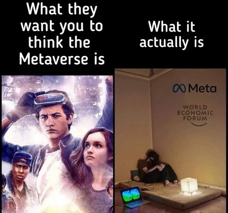Metaverse meme