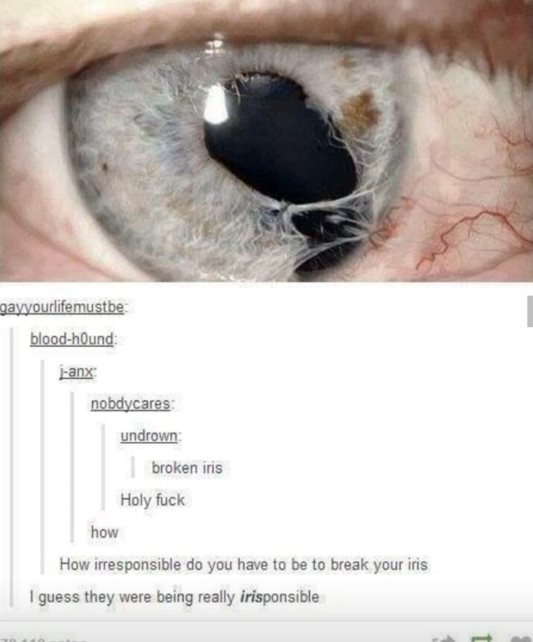 iris broke lol - meme