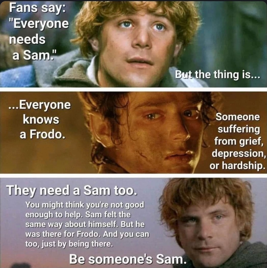 The best Samwise memes :) Memedroid, image size:896x899