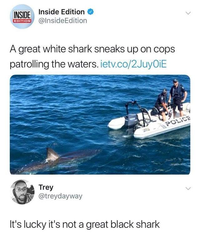 White shark - meme
