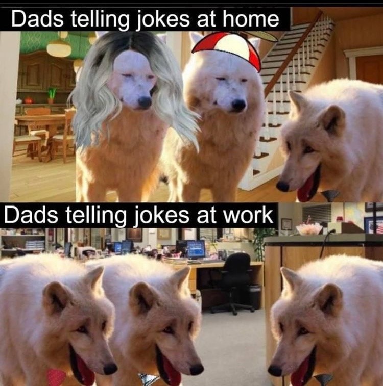 dad jokes - meme