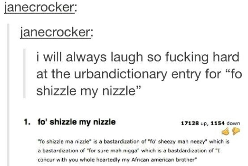 fo shizzle my nizzle - meme
