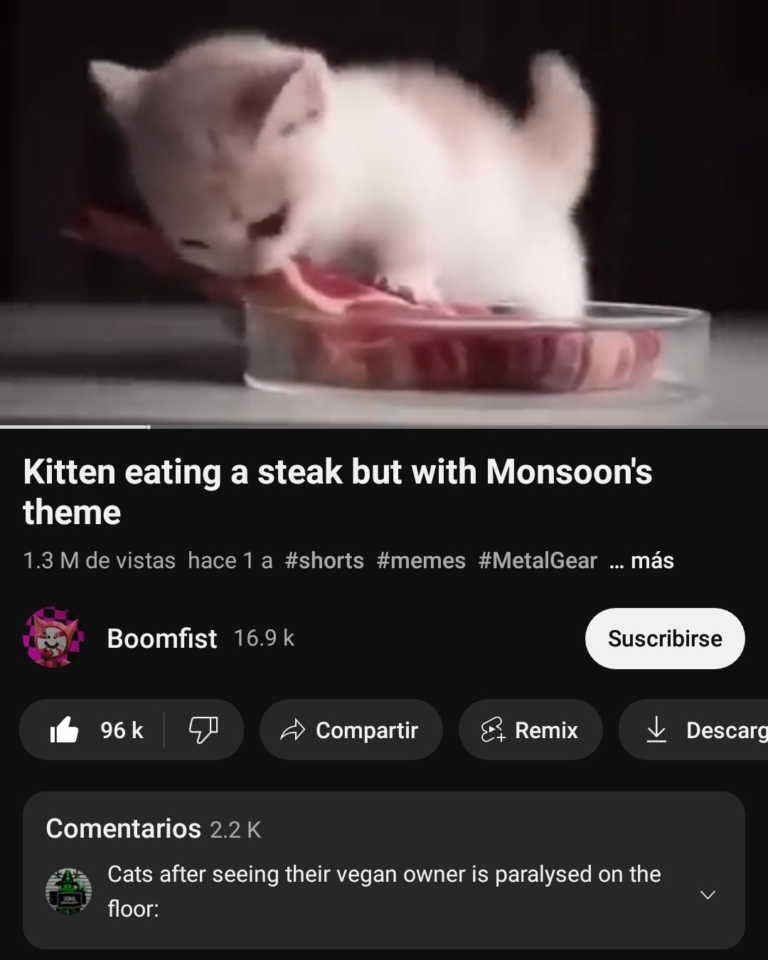 Traduccion:Gatos despues de ver a su dueño vegano paralizado en el suelo - meme