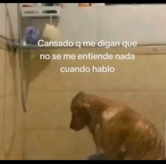 Memierda. - meme
