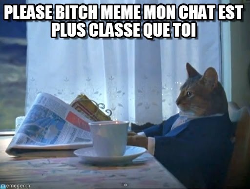 miaw classe - meme