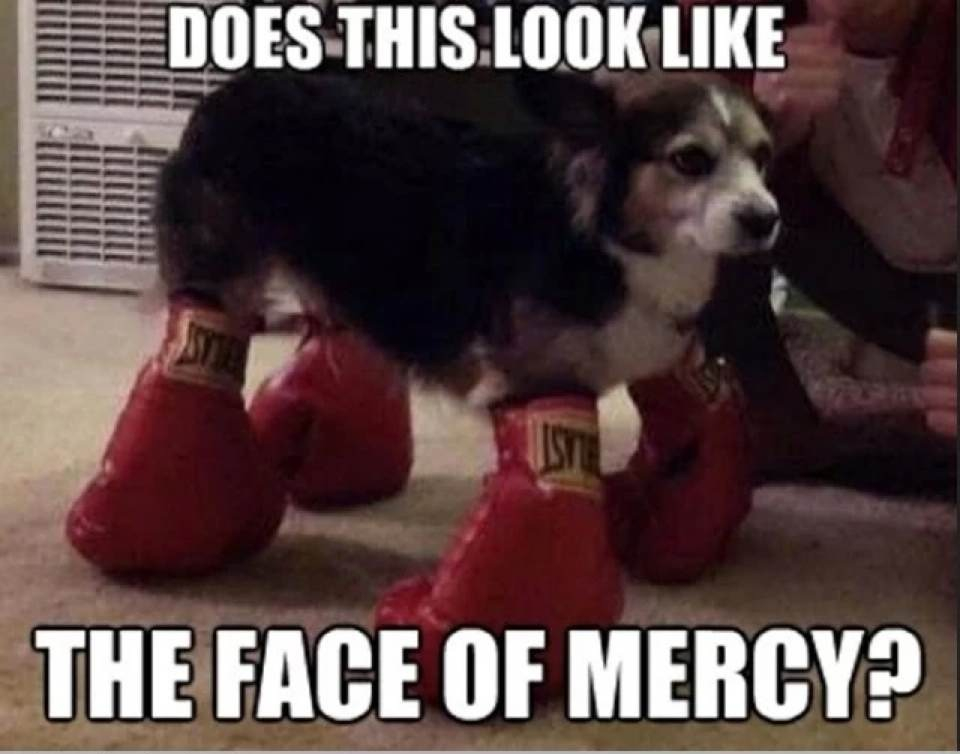 The face of mercy? - meme