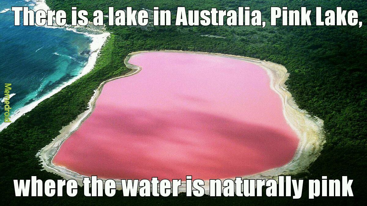 Pink lake - meme