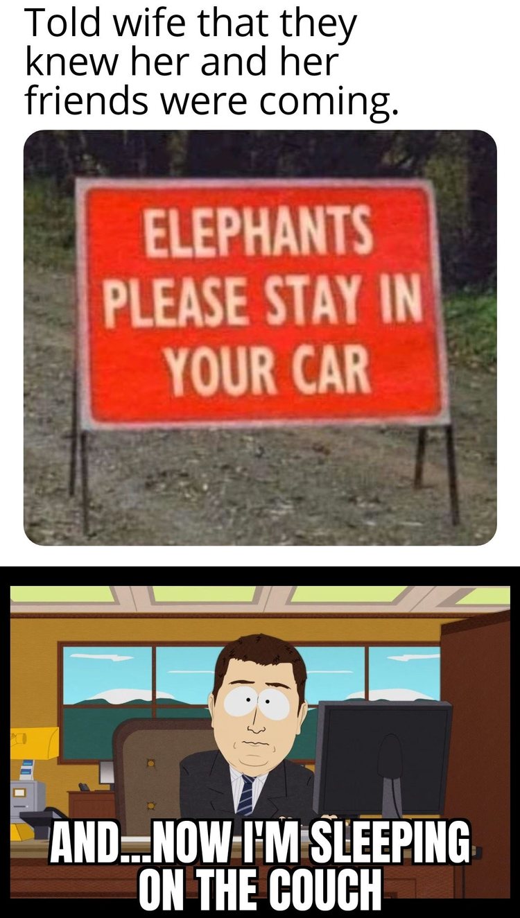 Elephants never forget - meme