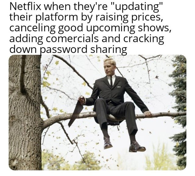 Netflix now - meme