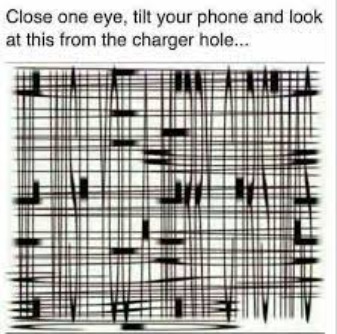 What do you see? - meme