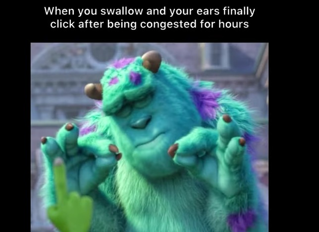 sully groan Memes & GIFs - Imgflip