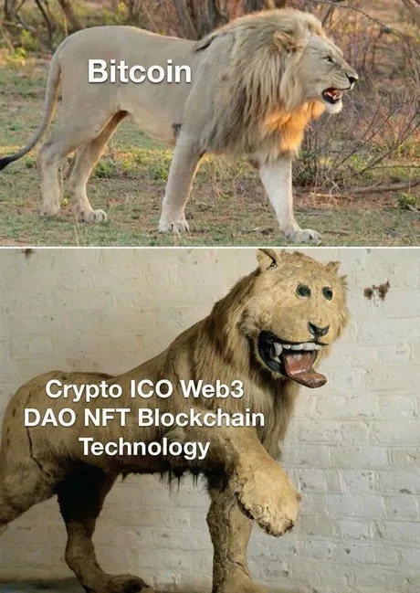 Bitcoin vs the rest of the crypto - meme