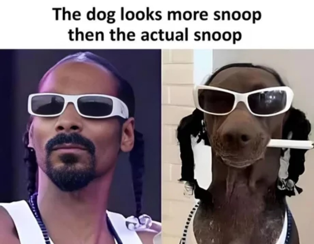 Lol - meme