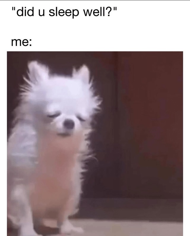 Monday morning meme