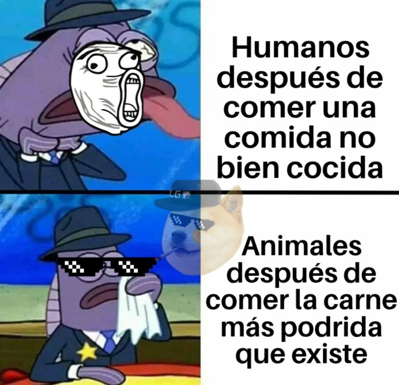 Literal xdxdxdxdxdxdxdxdxdxdxdxdxdxdxdxdx - meme