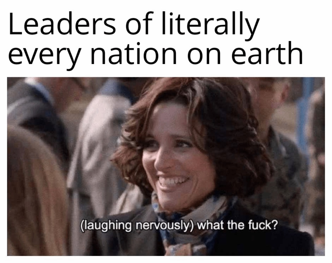 Leaders of every nation on earth rn - meme