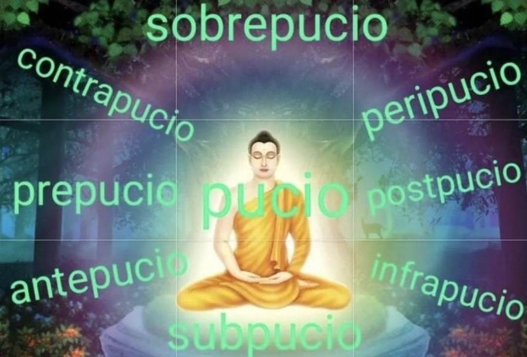 pucio - meme