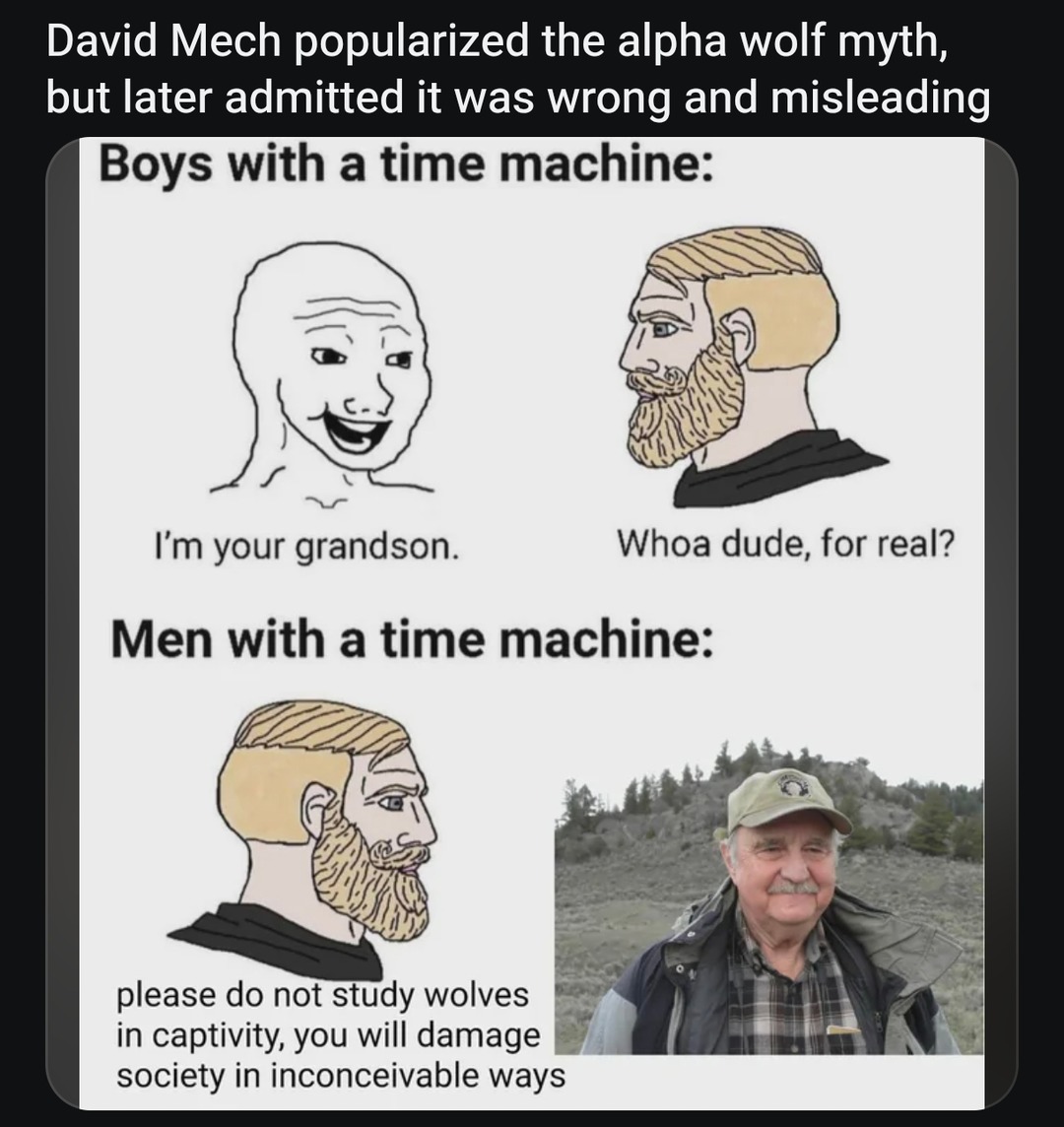 Men with a time machine: stop the alpha wolf myth - meme