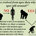 In response to DeanMarks post about evolution