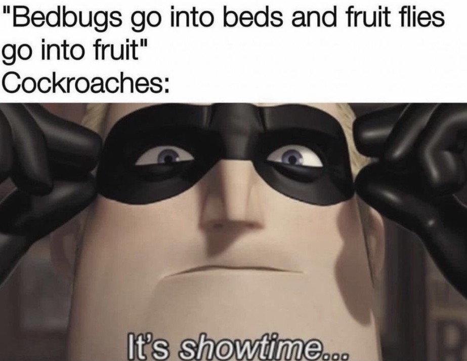 99 Funny Incredibles memes ideas  memes, the incredibles, popular memes