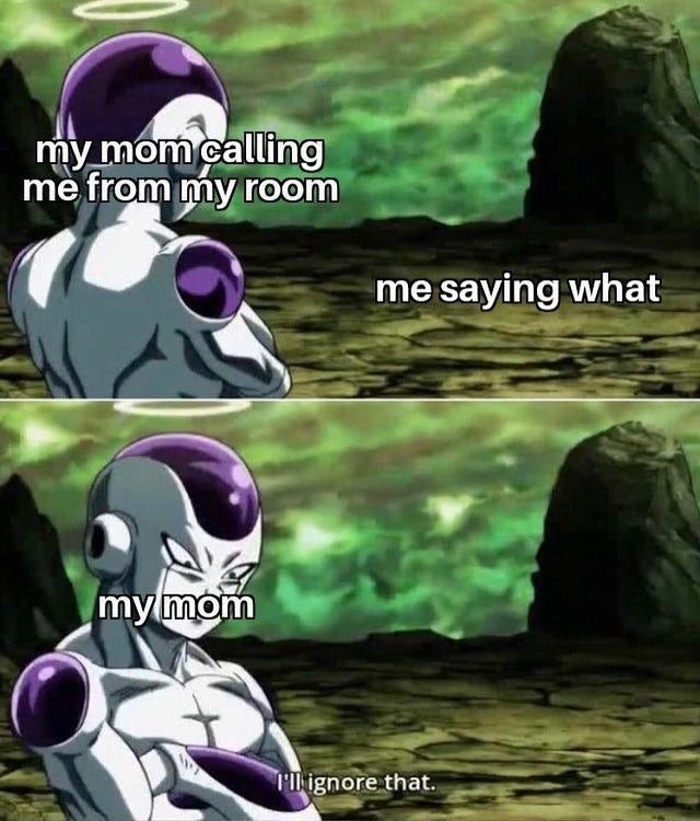 Moms calling from the other room - meme