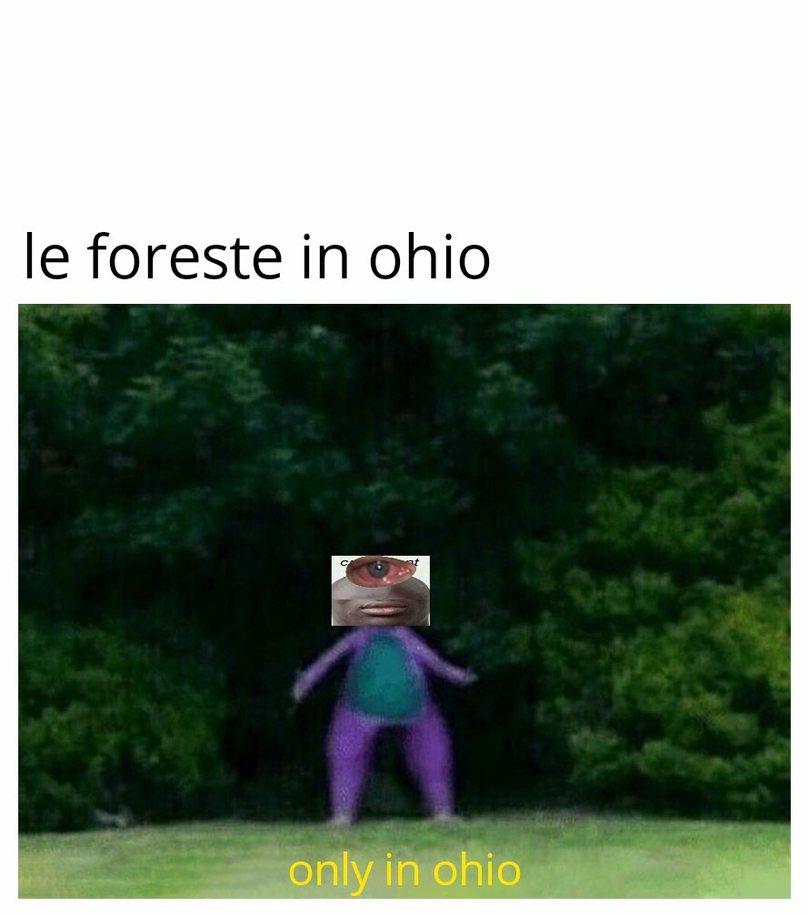Ohio meme