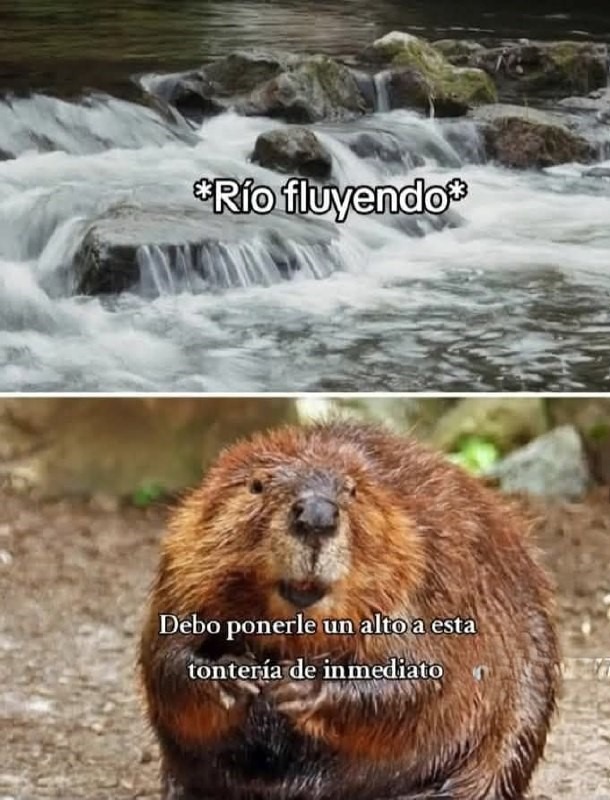 alguien vio un río fluir y dijo esto hay que pararlo ya - meme