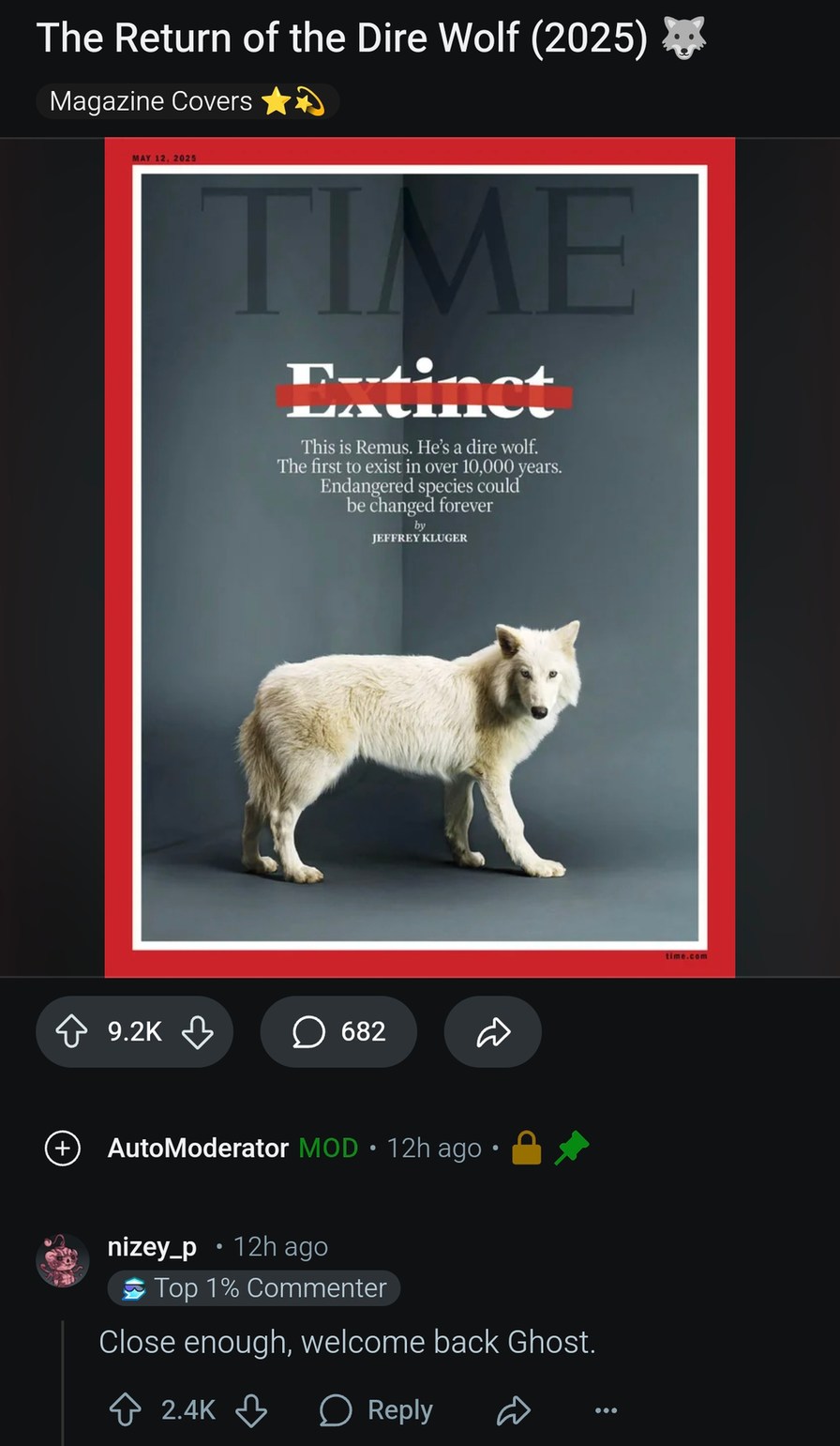 TIME cover wolf got that Ghost from Game of Thrones vibe - meme