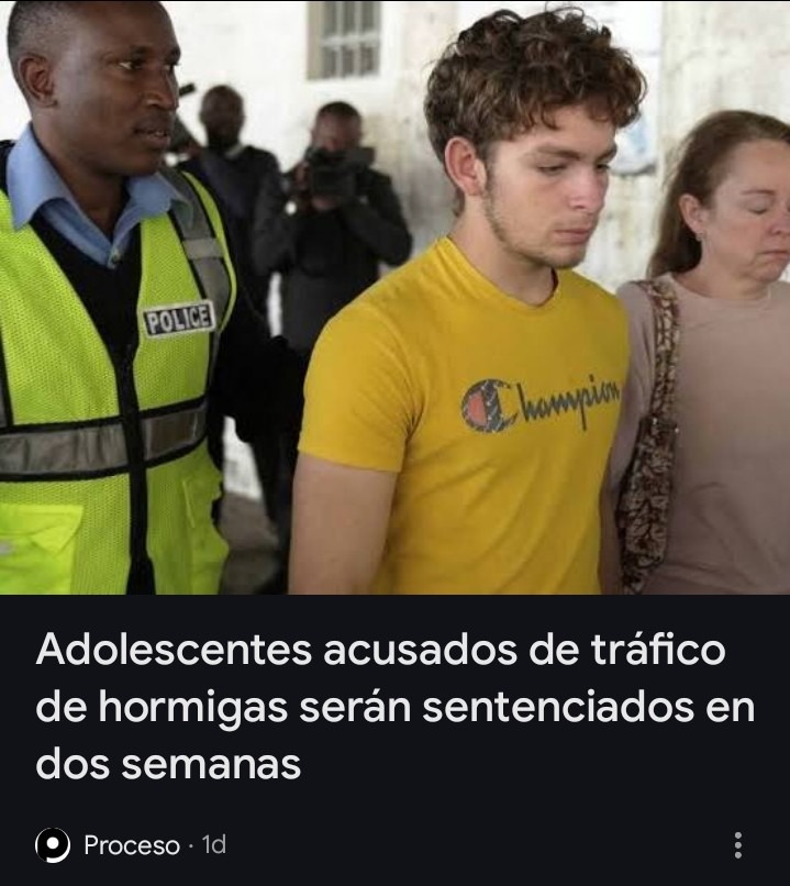 El título se fue a traficar polillas - meme