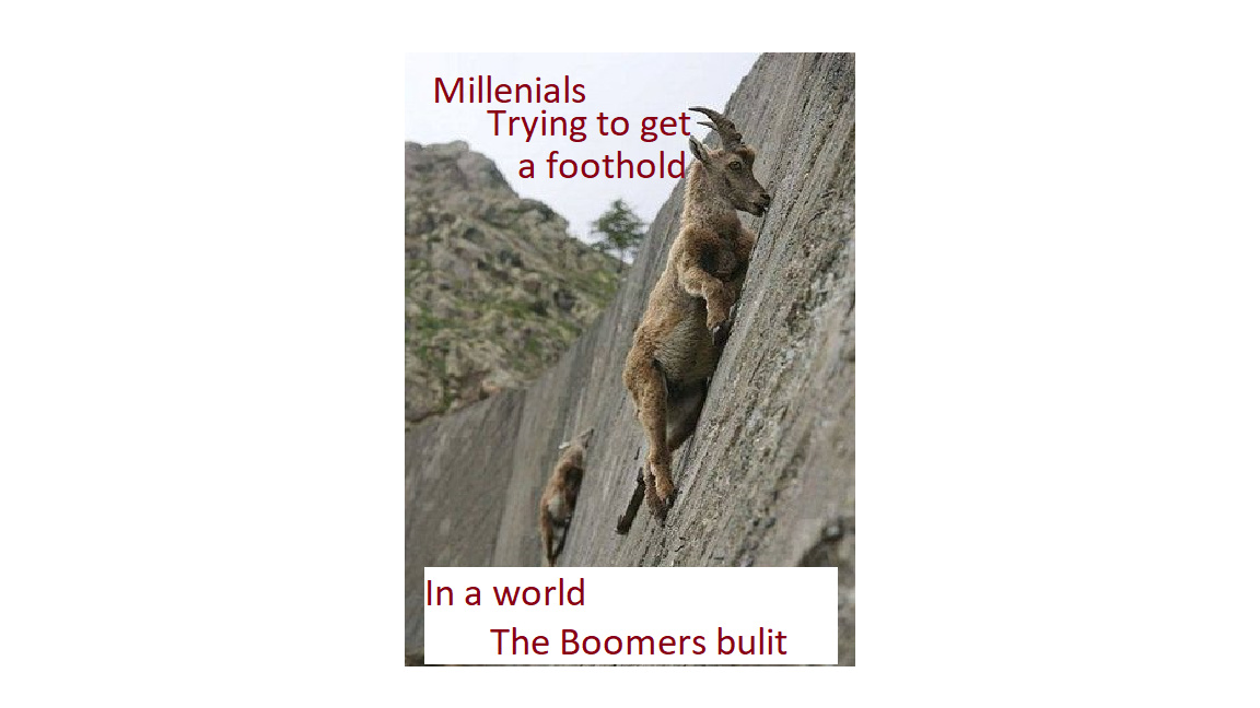 Millenials vs. Boomers - meme