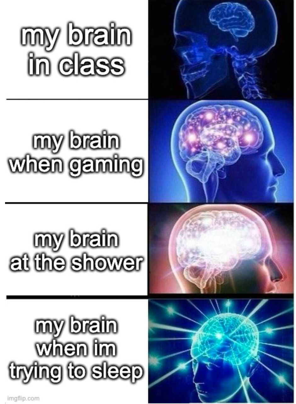 my brain - meme